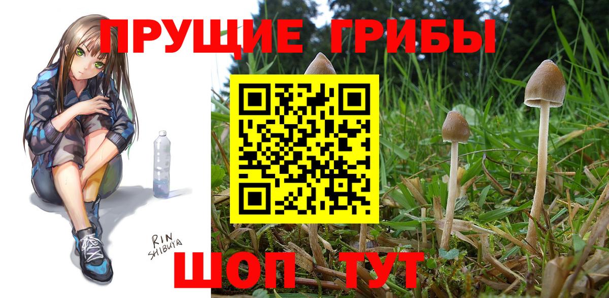 Галлюциногенные грибы GOLDEN TEACHER  Вход с VPN  Прокопьевск 